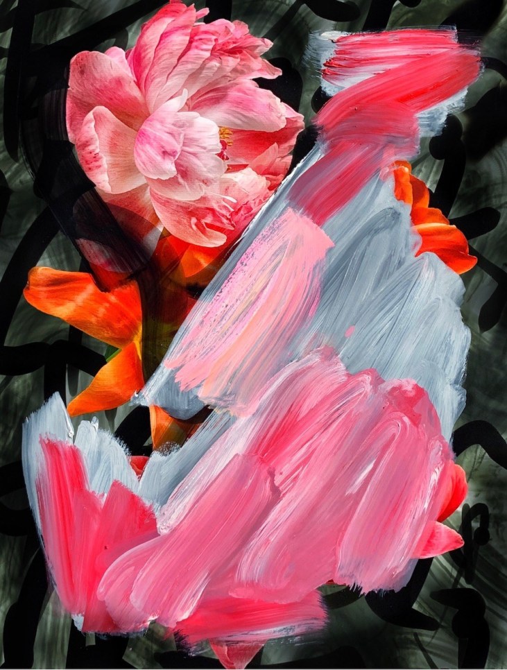 Photograph of brightly-coloured flowers with wide brushstrokes painted atop by Alexandra Penney