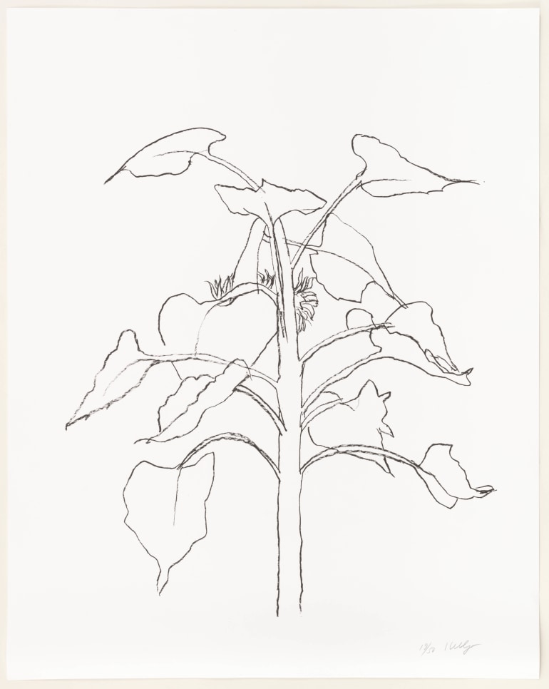 Ellsworth Kelly