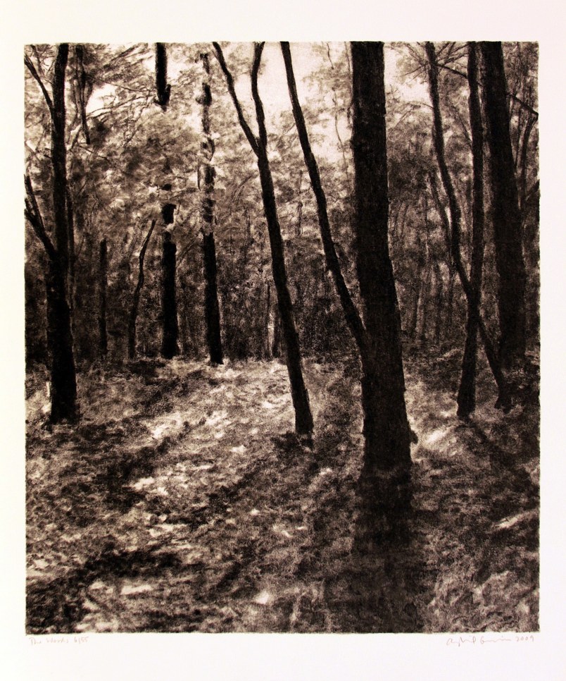 black and white lithograph by April Gornik featuring a scene of the woods and their branches 