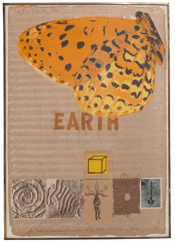 Screen print college of a large orange butterfly on the top right corner with 'EARTH' printed in the middle and small photographs by the bottom by Joe Tilson