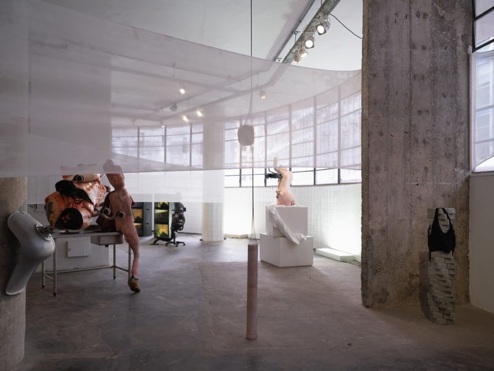 body-house: Dialogues between Carolee Schneemann, Diego Bianchi and Márcia Falcão