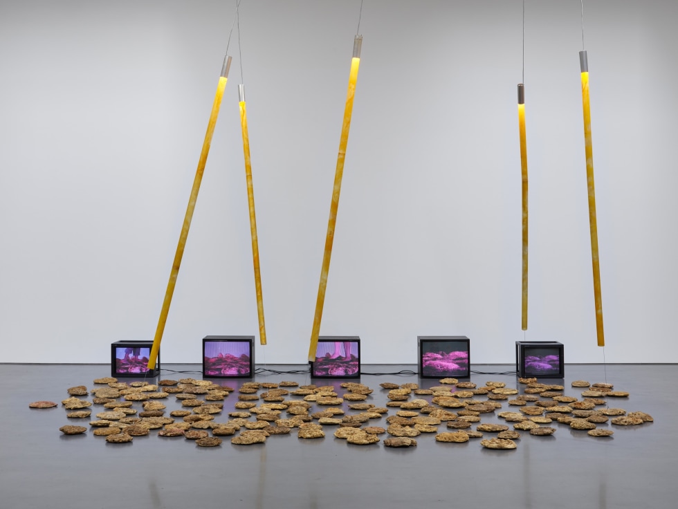 Carolee Schneemann