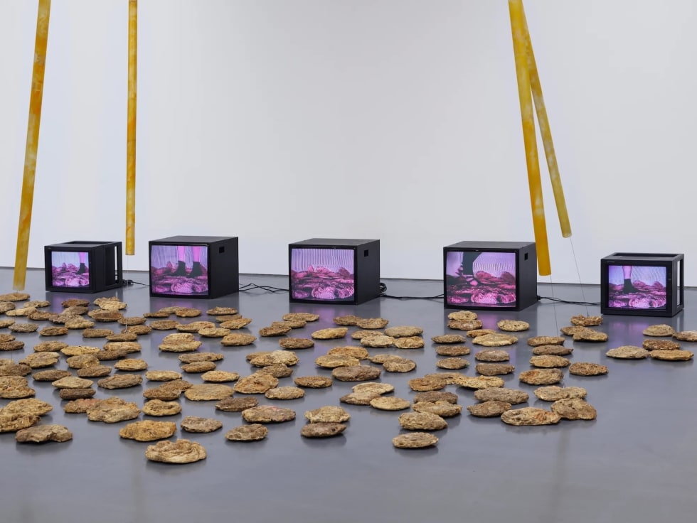 10 Shows to See in Los Angeles This May