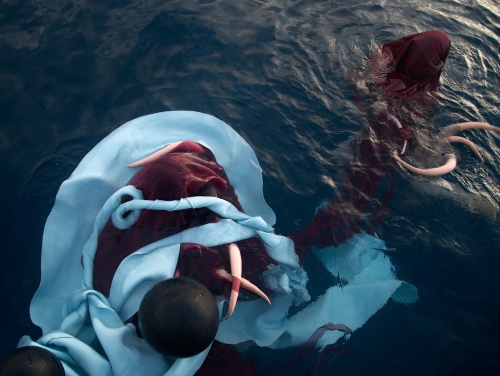 Janaina Tsch?pe in Moby Dick: The Whale
