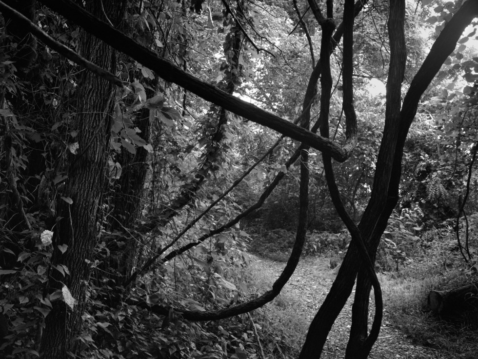 Dawoud Bey: Elegy