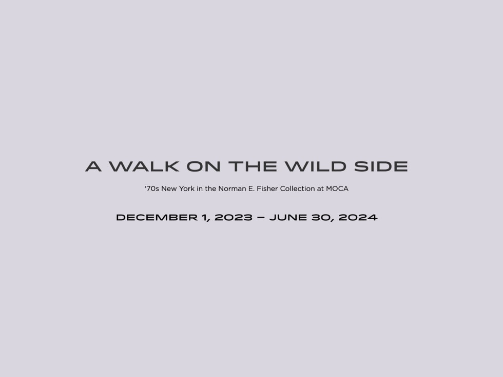 Joseph Kosuth in A Walk on the Wild Side: 70's New York in the Norman E. Fisher Collection