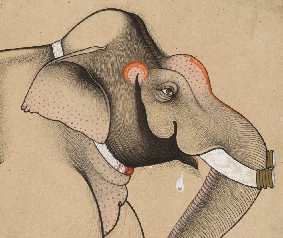 With bold curvilinear outlines and deft wispy shading, the artist captures the vigor of this prized elephant.